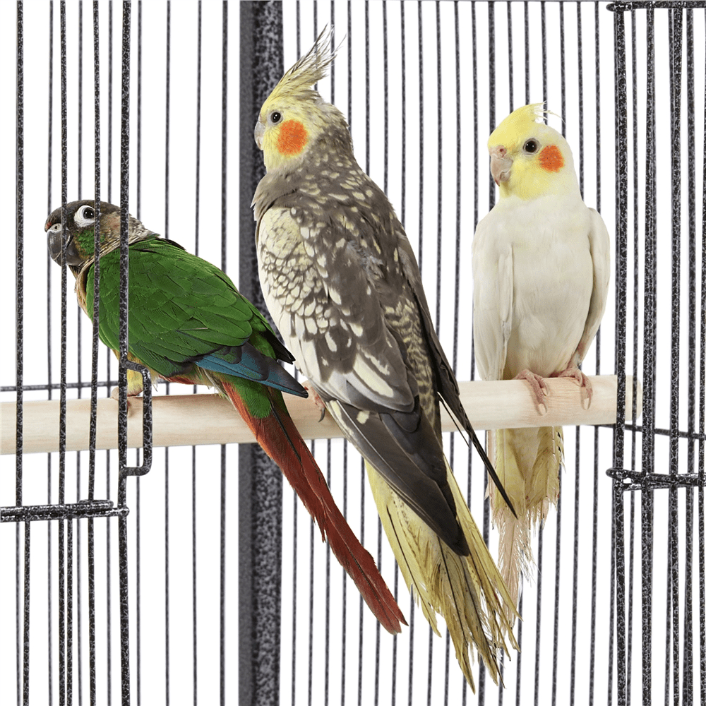 Topeakmart 40" H Wrought Iron Birdcage Open-Top Parrot Cage with Rolling Stand Black